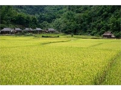 Cách Nguyên Tắc Đúng Trong Sử Dụng Phân Bón, Thuốc Bảo Vệ Thực Vật