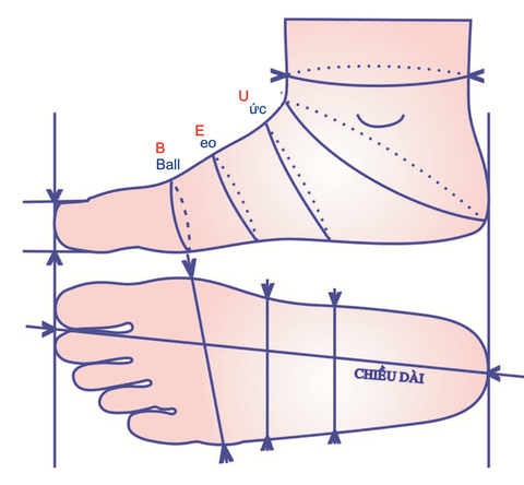 Chia sẻ cách đo size giày Biti’s chính hãng đúng chuẩn