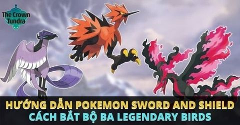 Hướng dẫn Pokemon Sword and Shield: Cách bắt 3 Pokemon chim huyền thoại