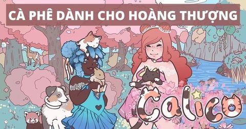 Calico – Xây dựng quán cà phê dành cho