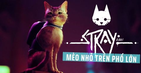 STRAY - Mèo hoang phiêu lưu ký