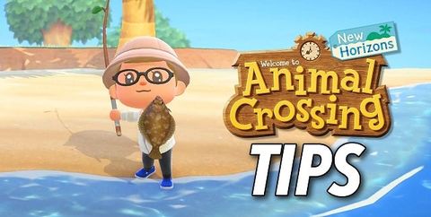 Hướng dẫn cách chơi Animal Crossing New Horizons cho người mới
