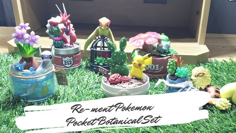 Cùng vui trồng cây với Pokemon Pocket Botanical