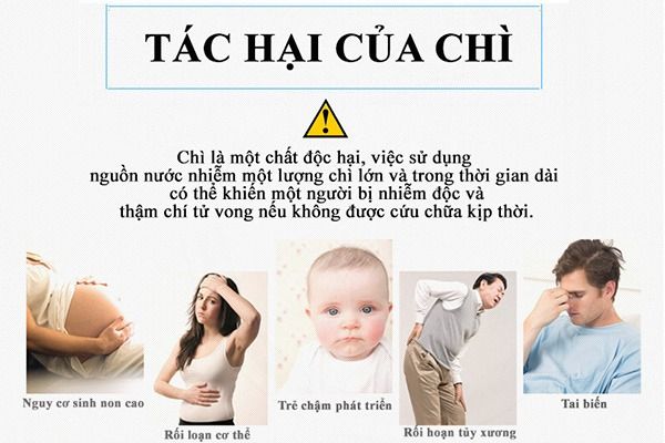 Tác động của nước nhiễm chì đối với sức khỏe