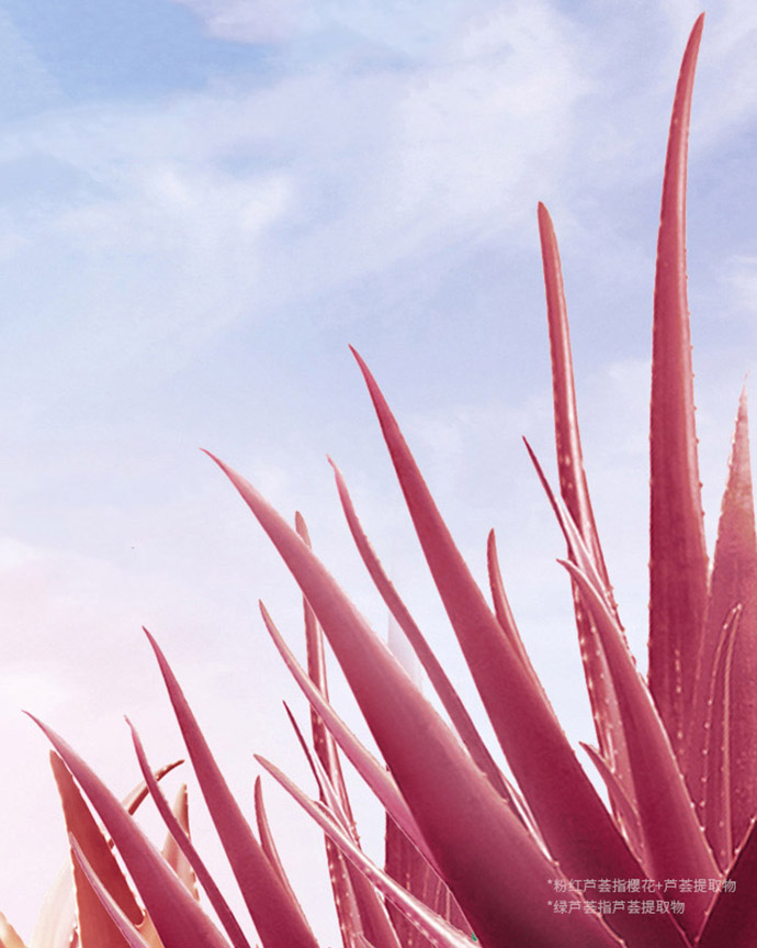 Gel Lô Hội Nha Đam Hồng Dưỡng Da, Phục Hồi Hư Tổn, Ngăn Ngừa Lão Hóa Da IMAGES Pink Aloe Vera Gel (40g) MS6084