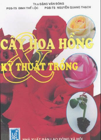 SÁCH: CÂY HOA HỒNG VÀ KỸ THUẬT TRỒNG