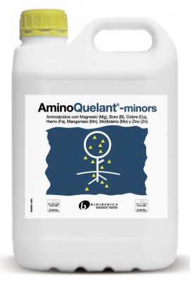 AminoQuelant-Minors-Anbio-vn