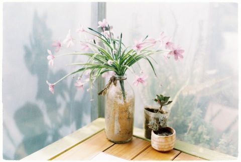 Bí quyết tiết kiệm khi đi du lịch