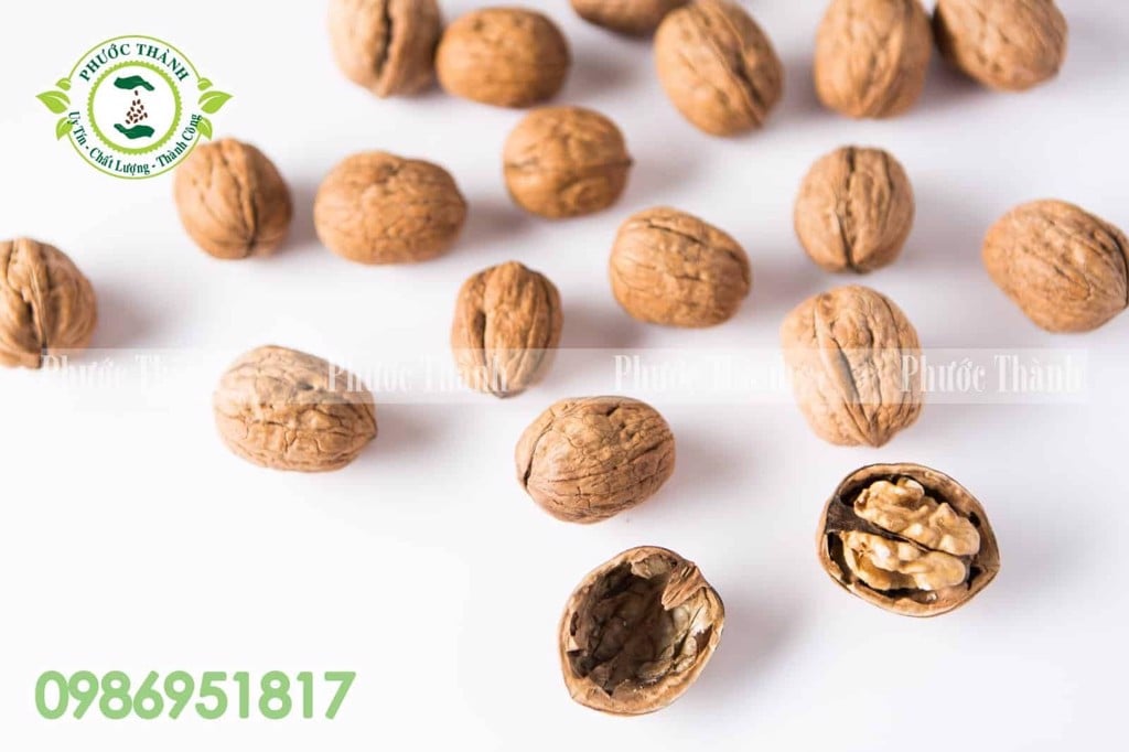 Tại sao nên nhập sỉ hạt óc chó tại Hạt dưa Phước Thành