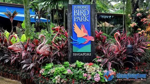 Vườn chim Jurong, điểm du lịch hấp dẫn của Singapore