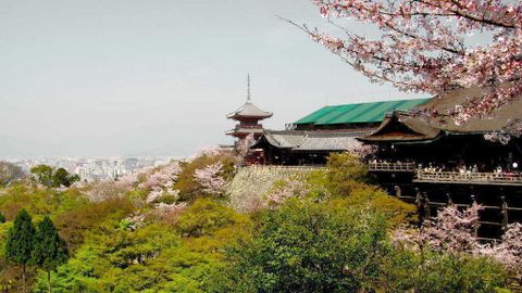 Thông tin cần biết khi đi du lịch Nhật Bản