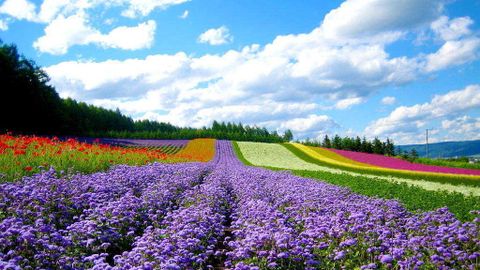Du lịch Hokkaido, thiên đường của tạo hóa