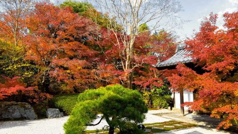 Du lịch đền chùa ở thành phố Nikko, Nhật Bản