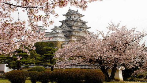 Thành Himeji, kiến trúc lâu đài tiêu biểu của Nhật Bản