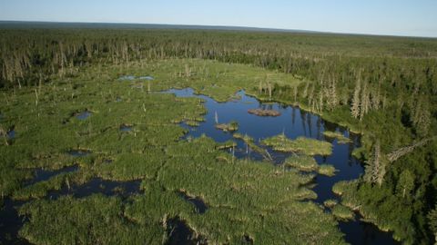 Công viên Quốc gia Wood Buffalo lớn nhất Canada