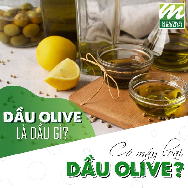 Dầu olive là dầu gì? Có mấy loại dầu olive phổ biến hiện nay?