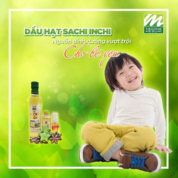 Dầu hạt Sachi Inchi - Nguồn dinh dưỡng vượt trội cho bé yêu