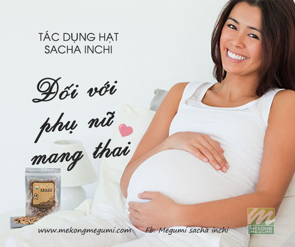 Tác dụng của hạt sachi đối với phụ nữ mang thai