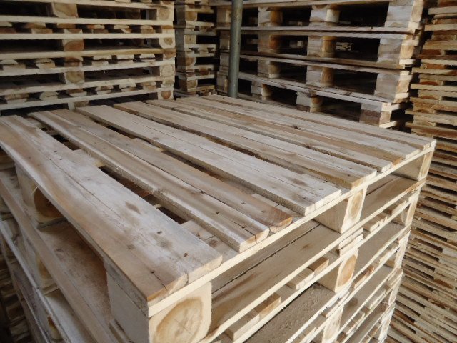 Nguyên nhân pallet gỗ hay bị mối mọt tấn công