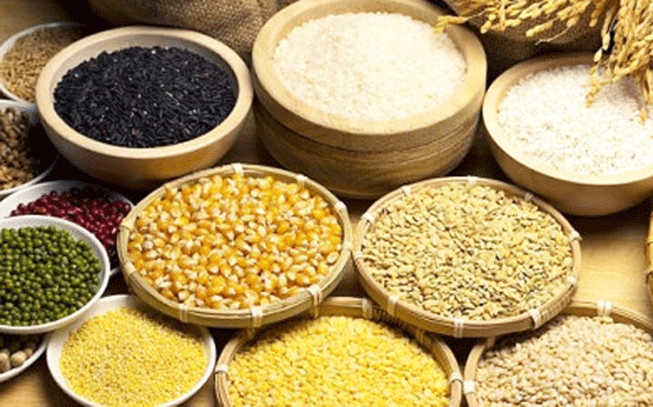 Tình hình giá cả thức ăn chăn nuôi 2018