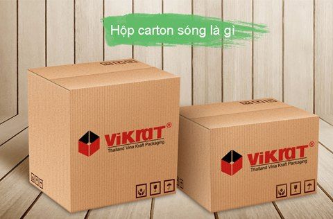 Hộp carton sóng là gì Hộp carton sóng là gì