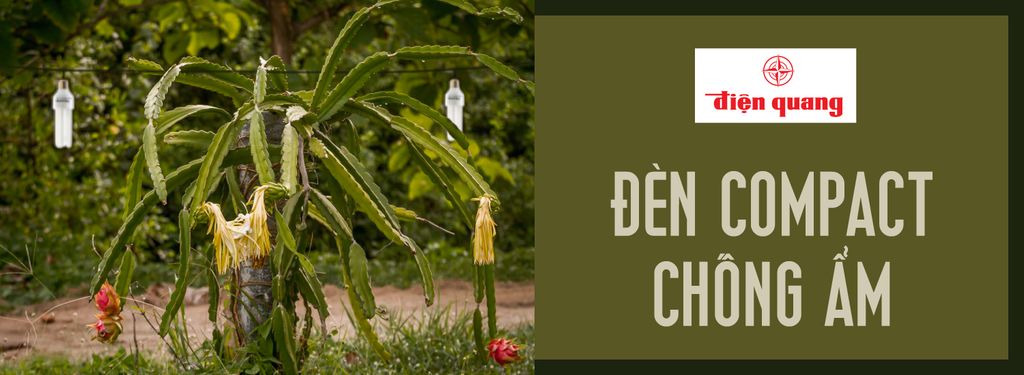 ĐÈN COMPACT CHỐNG ẨM
