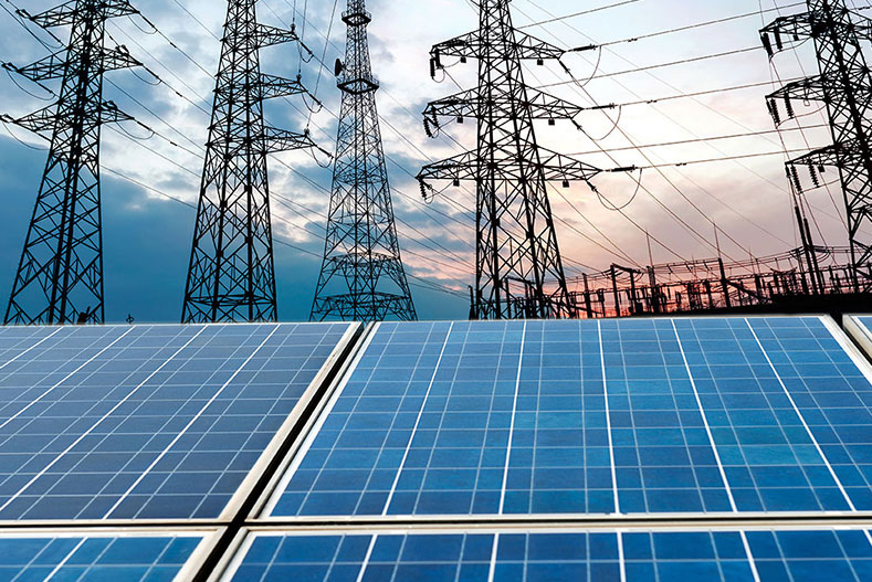 hoa-luoi-dien-mat-troi