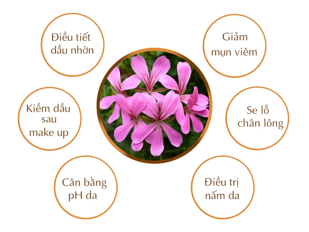 Tinh Chất Điều Tiết Dầu Trên Da Lần Đầu Tiên Có Mặt Tại Việt Nam