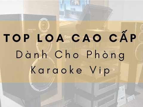 Top Loa Karaoke Cao Cấp Cực Chất Dành Riêng Cho Dàn Karaoke VIP