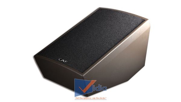 Loa sân khấu CAF VMF 12
