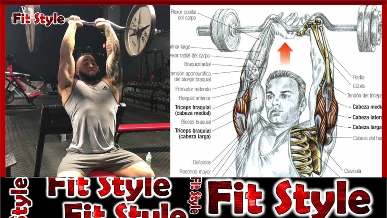 14 Bài Tập Tay Trước, Tay Sau và Cơ Tam Hiệu Quả Nhất Cho Dân Tập Gym