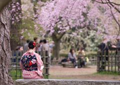 Những nét văn hóa đặc trưng của Nhật Bản, bạn có biết?