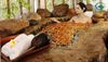 Tặng vợ mùng 8 - 3 combo ngâm khoáng thảo dược ở Tản Đà Resort