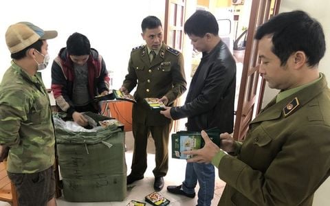Seizure of 14,000 packages counterfeiting trademark Knorr in Lang Son province