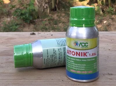atonik-chai-100ml