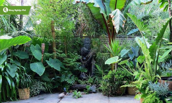 Rừng nhiệt đới trong căn nhà của bạn