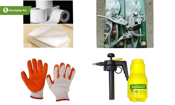 Chuẩn bị dụng cụ trước khi thực hiện cách tỉa cây húng quế