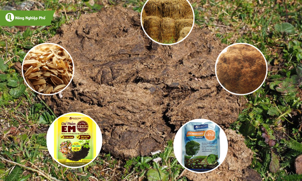 Các nguyên liệu cho quá trình ủ phân bò