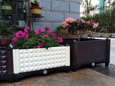 chau-lap-ghep-thong-minh