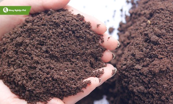 Phân trùn quế được dùng phổ biến trong nông nghiệp