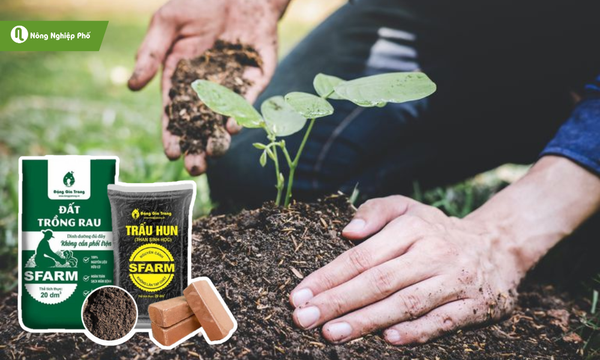 Sử dụng đất Tribat chuyên dụng để cây sinh trưởng ổn định