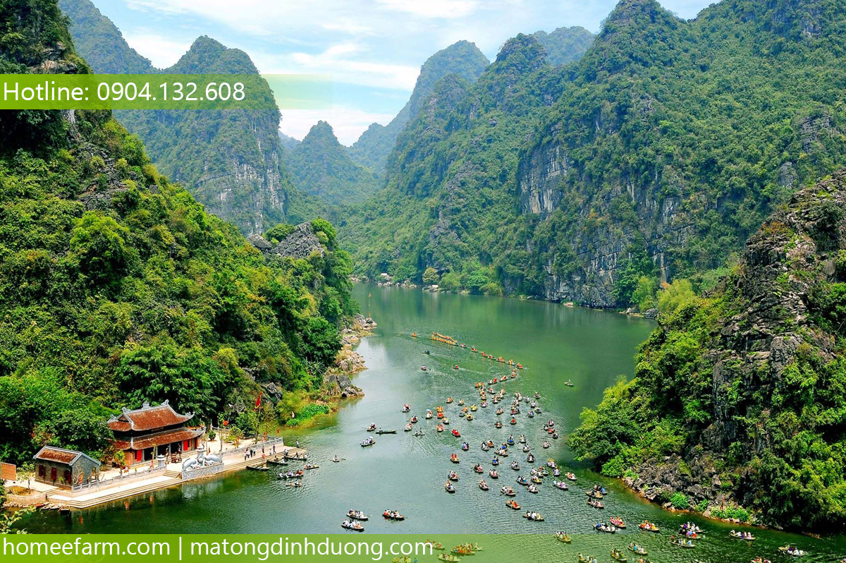 MUA MẬT ONG Ở ĐÂU TẠI NINH BÌNH GIÚP NGƯỜI GIÀ PHÒNG NGỪA CAO HUYẾT ÁP?