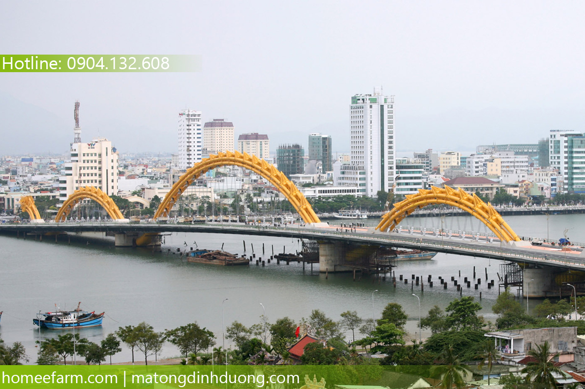 MUA MẬT ONG Ở ĐÂU TẠI ĐÀ NẴNG CÓ THƯƠNG HIỆU UY TÍN?