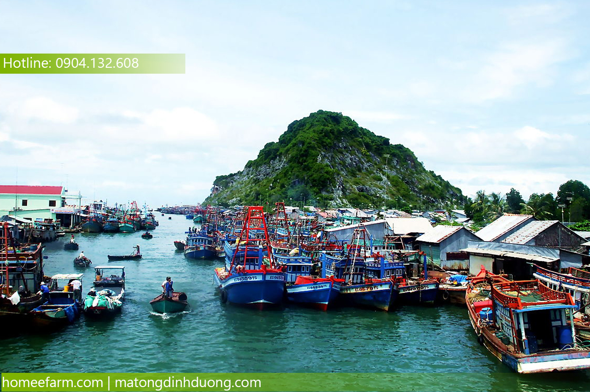 MUA MẬT ONG Ở ĐÂU TẠI KIÊN GIANG TRỊ NHIỆT MIỆNG NHỮNG NGÀY NẮNG NÓNG