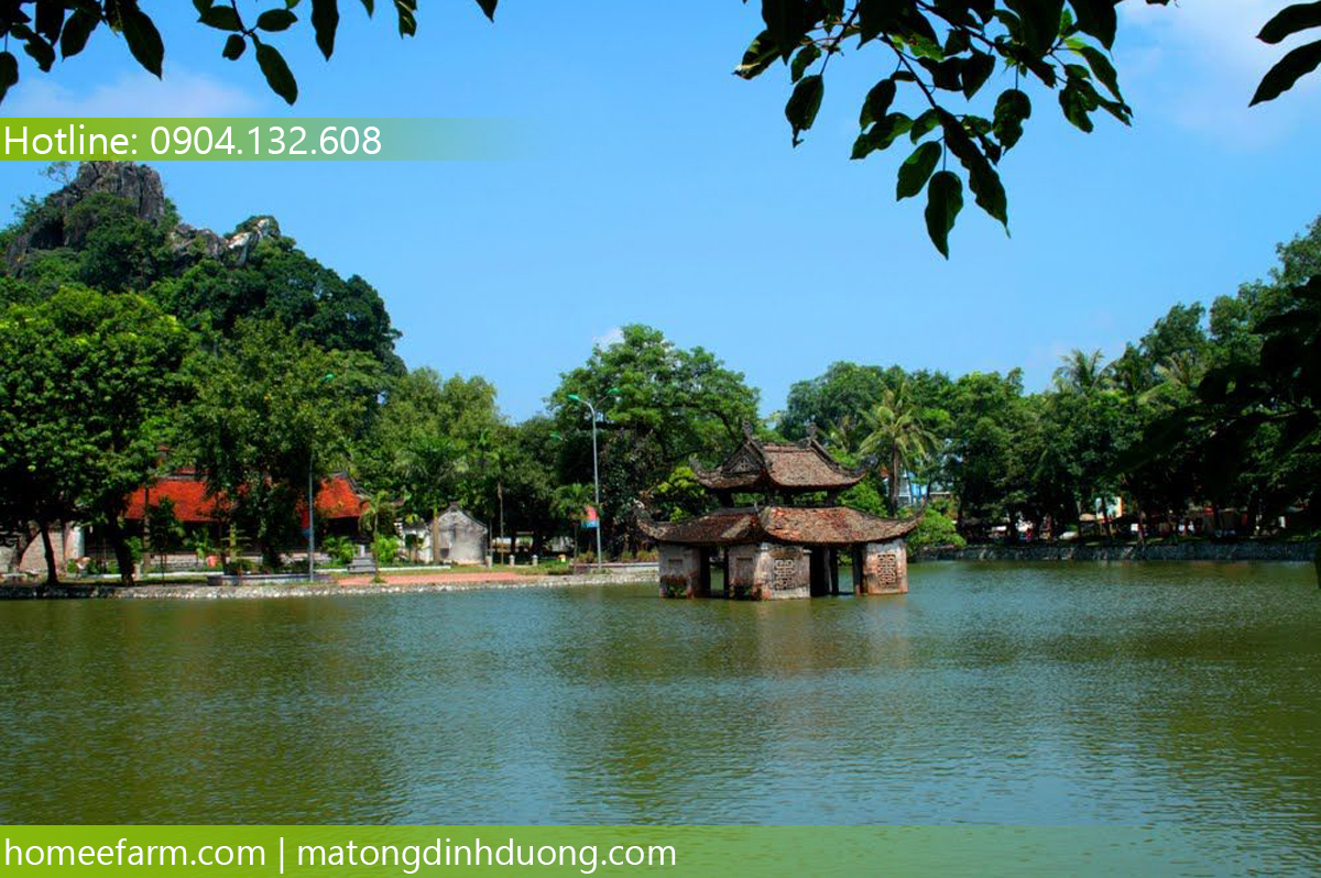 BẠN PHÂN VÂN KHÔNG BIẾT MUA MẬT ONG Ở ĐÂU TẠI HÀ TÂY CHẤT LƯỢNG?