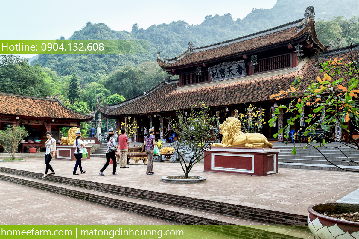 BẠN KHÔNG BIẾT MUA MẬT ONG Ở ĐÂU TẠI HÀ TĨNH 100% TỰ NHIÊN?