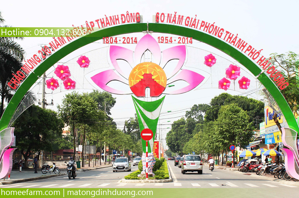 MUA MẬT ONG Ở ĐÂU TẠI HẢI DƯƠNG GIÚP BÀ BẦU NGỦ NGON?