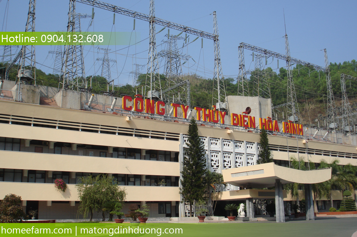 MUA MẬT ONG Ở ĐÂU TẠI HÒA BÌNH ĐỂ BIẾU BÀ ĂN NGON, NGỦ TỐT?