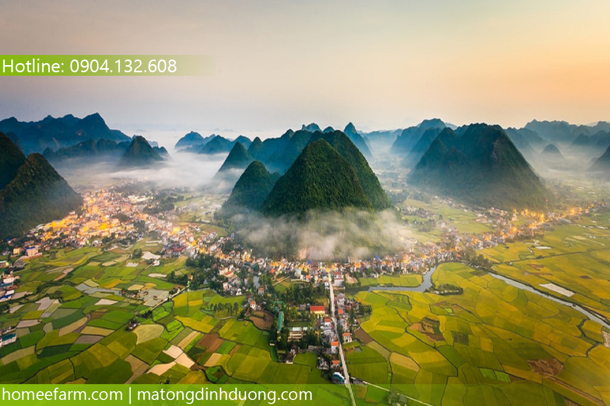 MUA MẬT ONG Ở ĐÂU TẠI LẠNG SƠN ĐỂ TĂNG CƯỜNG SỨC KHỎE?
