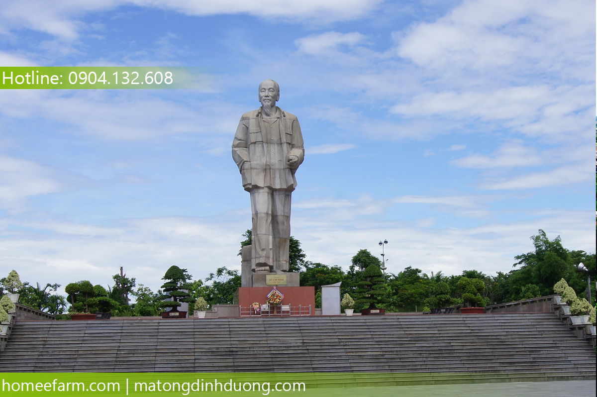 BIẾT MUA MẬT ONG Ở ĐÂU TẠI NGHỆ AN ĐỂ LÀM LIỀN SẸO CHO CON?